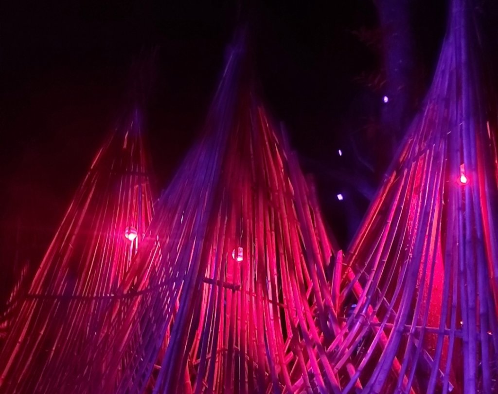 虎形山步道(空山祭-龍火餘燼)_2400637