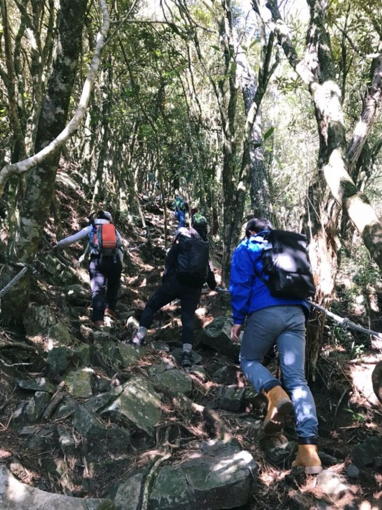 巨高就更要上鳶嘴山_284132