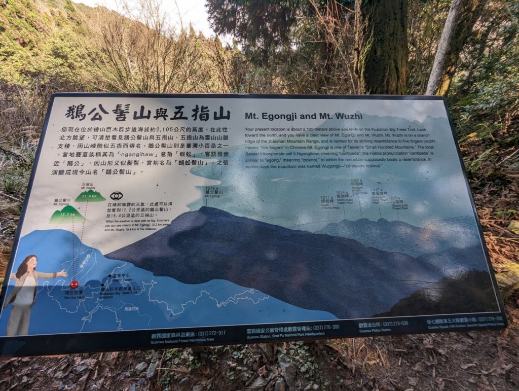 2023.02.25－檜山巨木森林步道_2042046