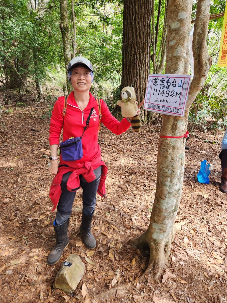 112/2/11芝生毛台山、屯野生炮台_2148087