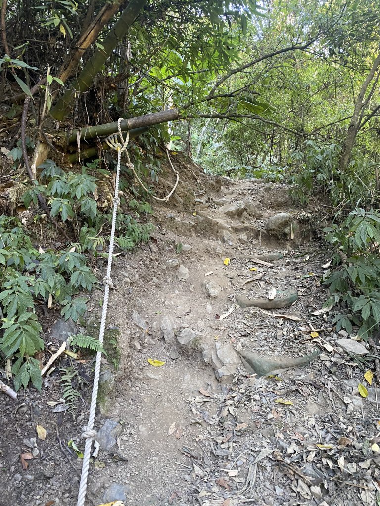 1111120泰安鄉鳥嘴山_2672934