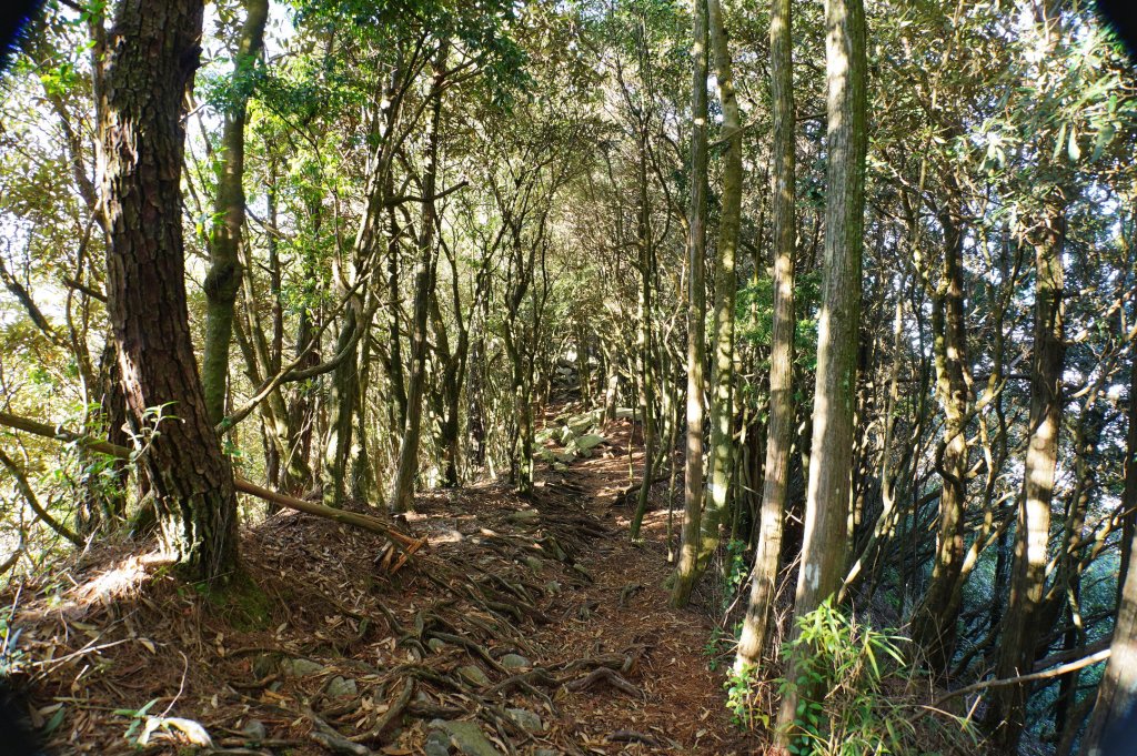 台中 和平 鳶嘴山_2926851