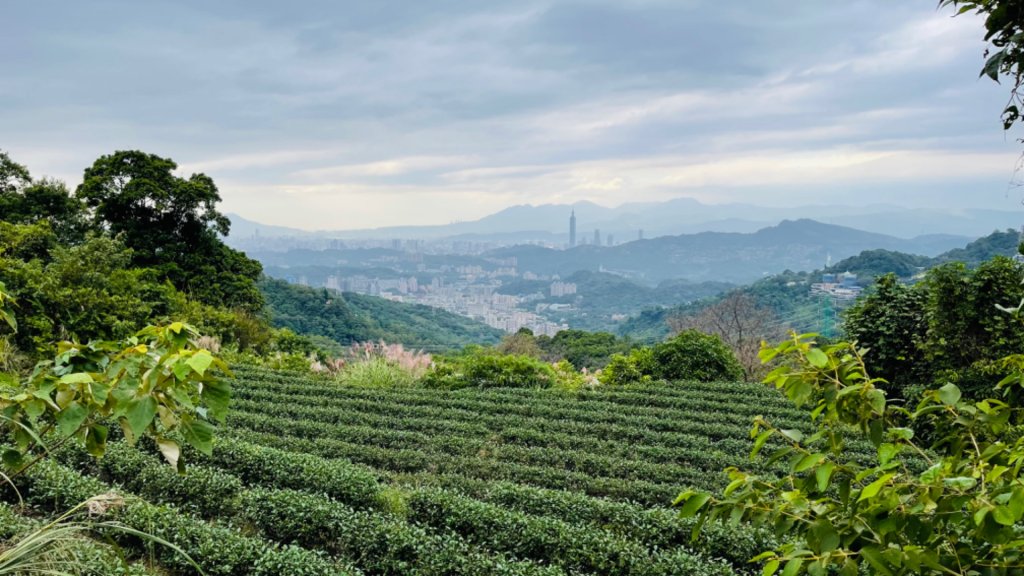 1101112銀河洞縱走貓空_1514443