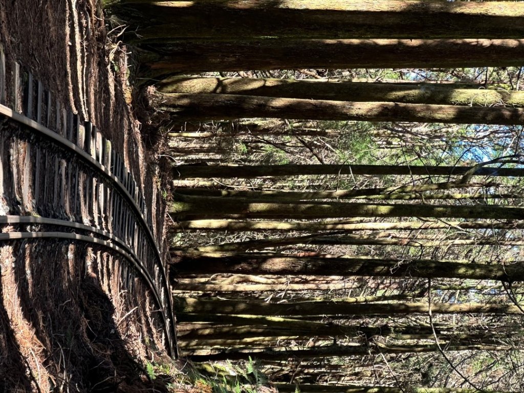 眠月線【單攻】_2685586