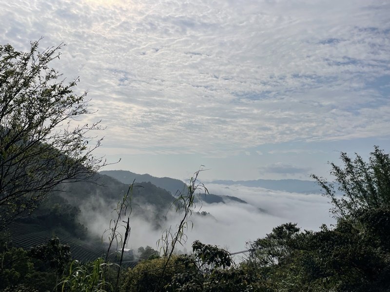 小格頭越嶺坪林封面圖