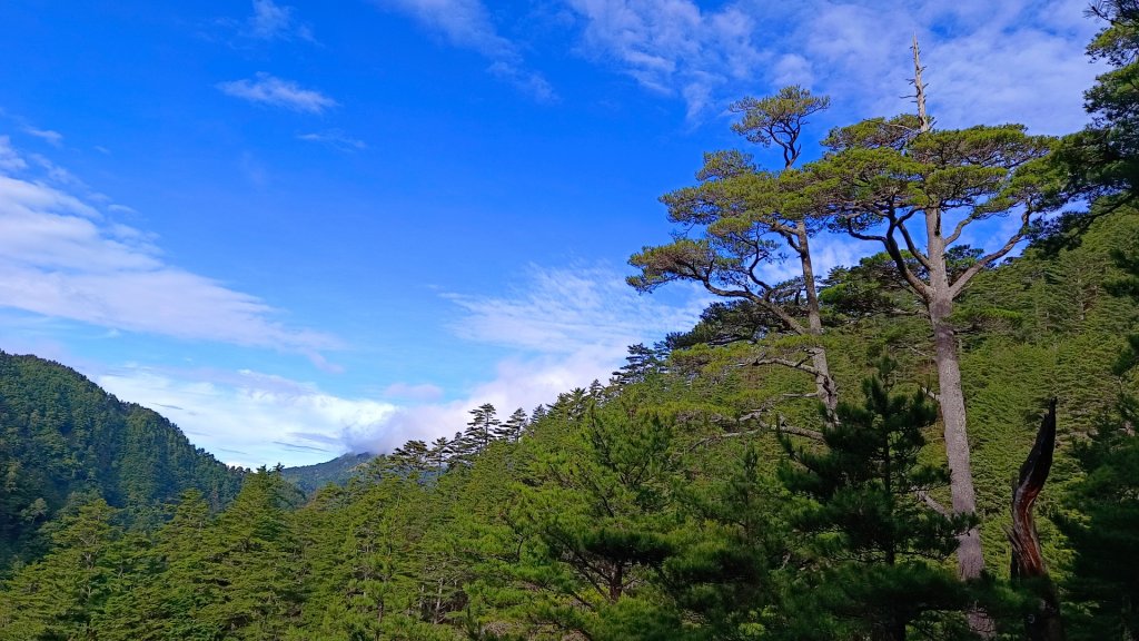 八大秀改成二天一夜八通關山夜宿中央金礦山屋（山永遠都在，我會回來的））_2202512