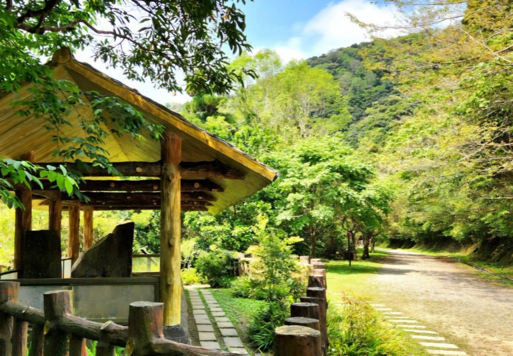 【中級山縱走】志繼山，東眼山，拉卡山，卡外山，東滿步道_2742557