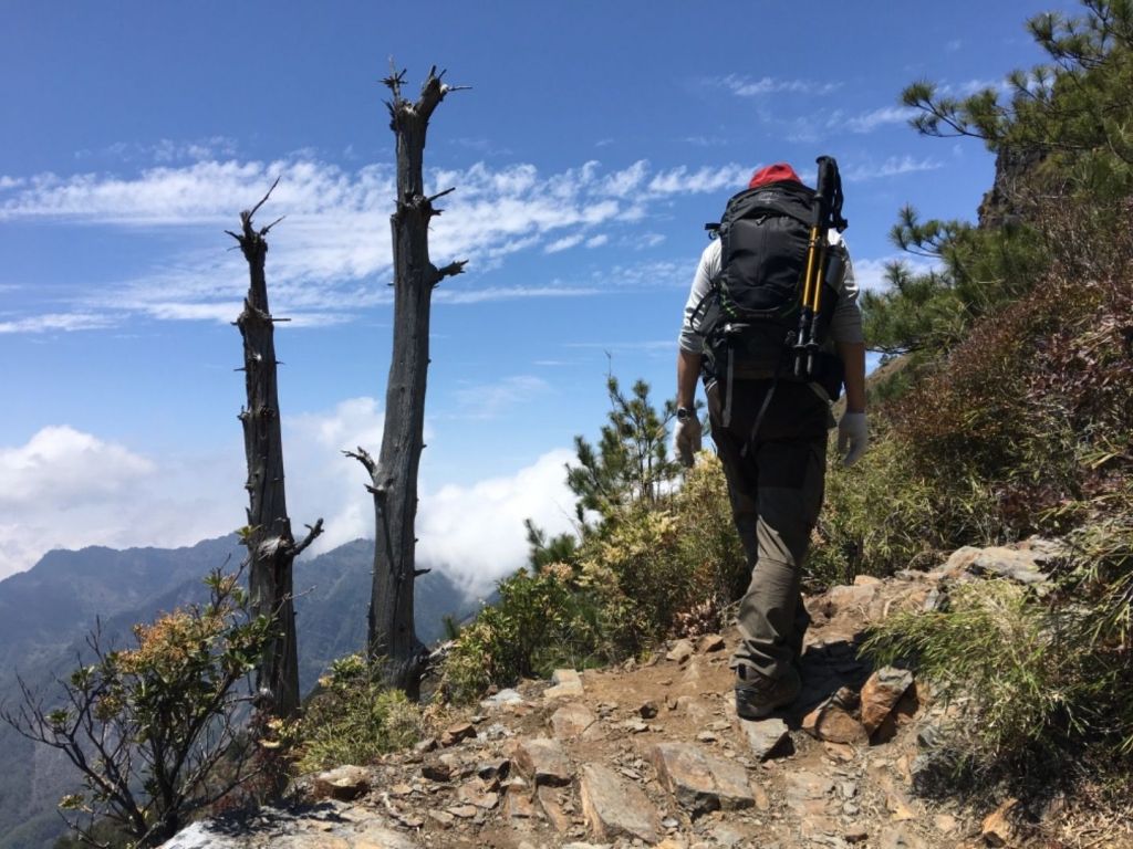 1070406玉山前峰_306476