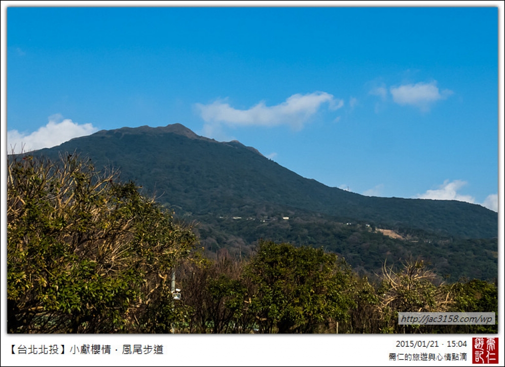 20150121小獻櫻情．風尾步道_11679