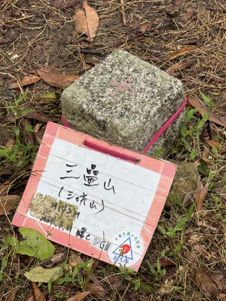 七上八下_2713431