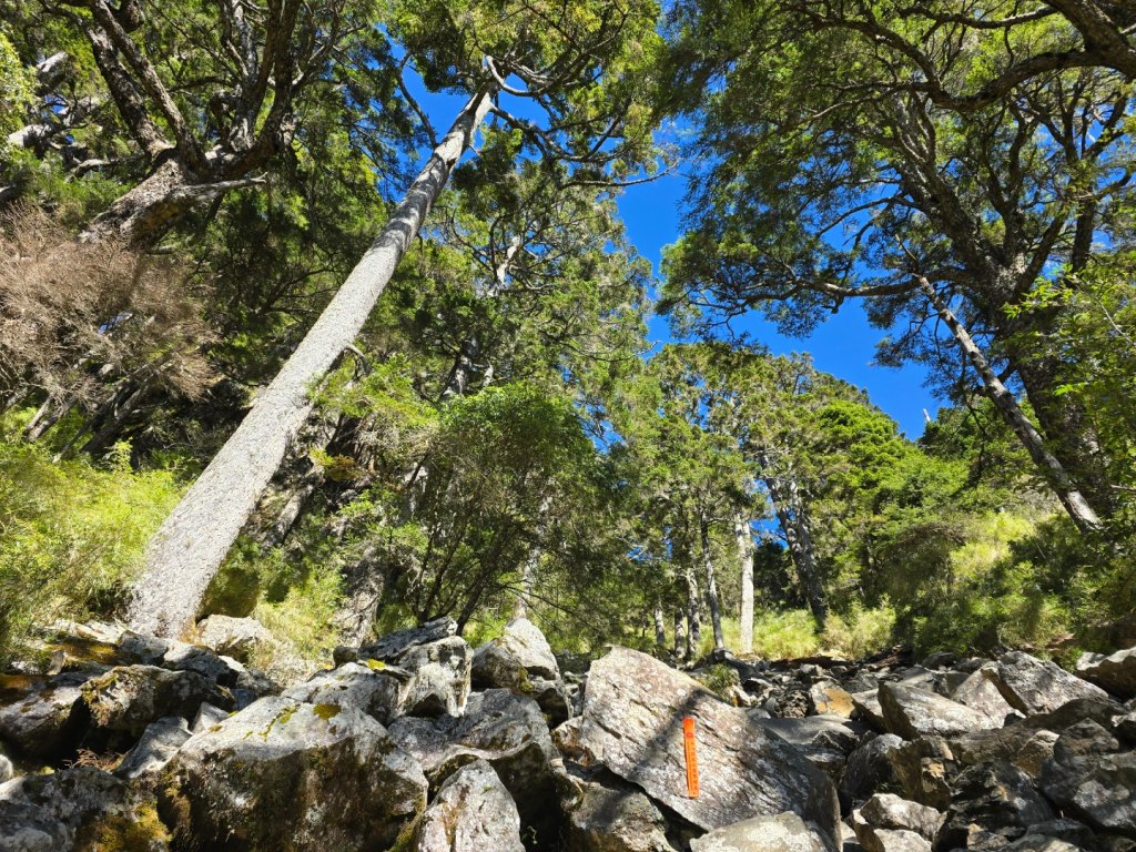 玉山前峰_2663188