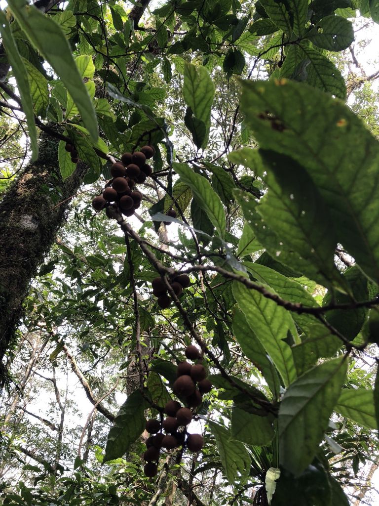 2018.03.14 松蘿湖我來了~_291049