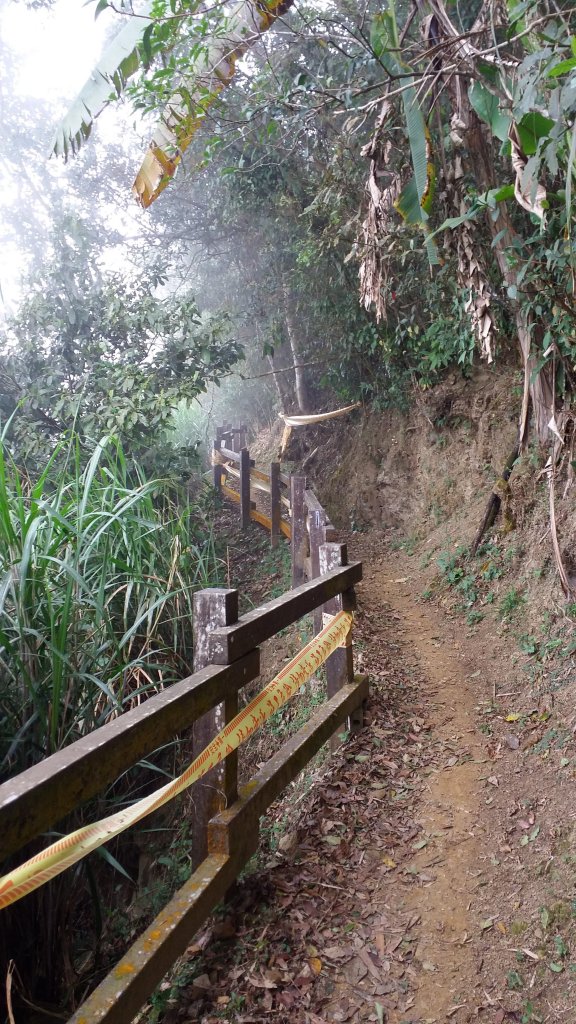 松腳~獨立山~大巃頂~孝子步到~太平老街_818241