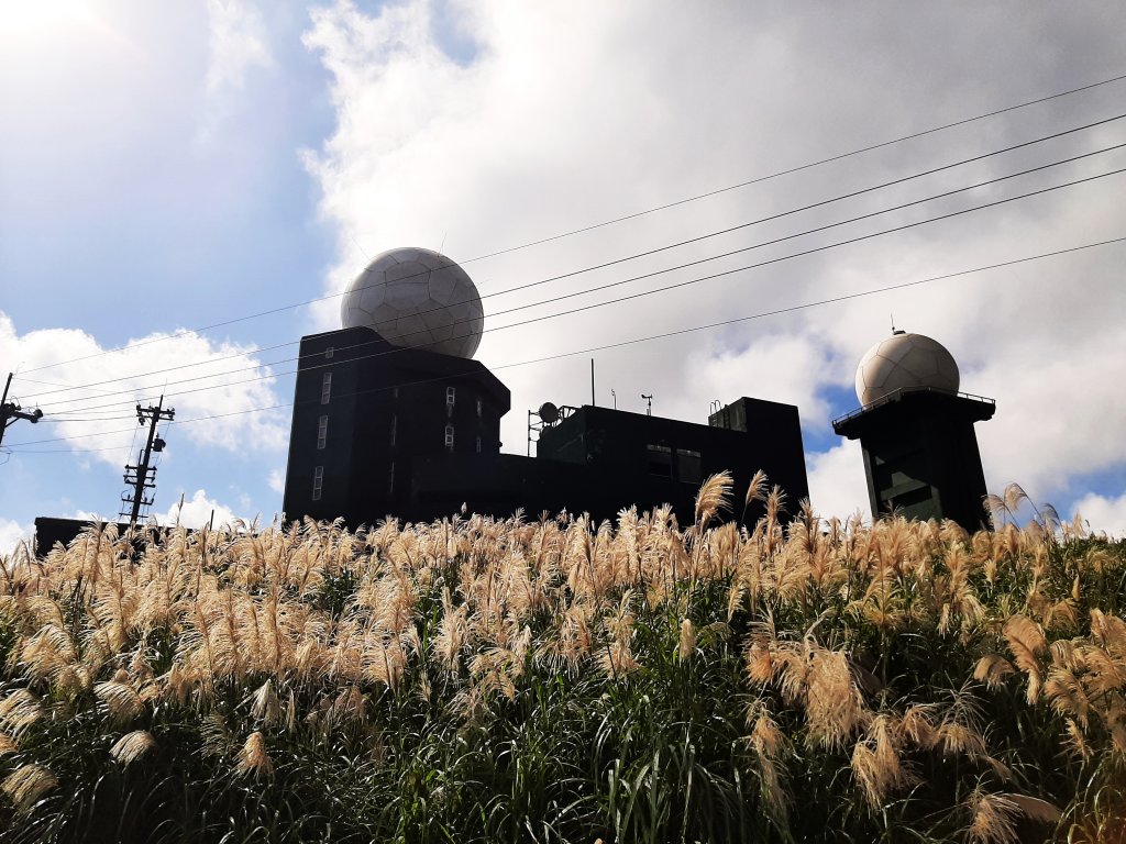 愛在秋芒紛飛時...五分山_2353573