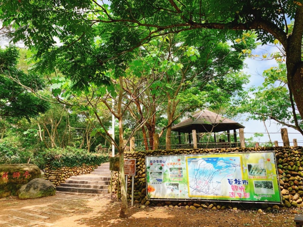 四月雪～桐花盛開～藤山步道_566647