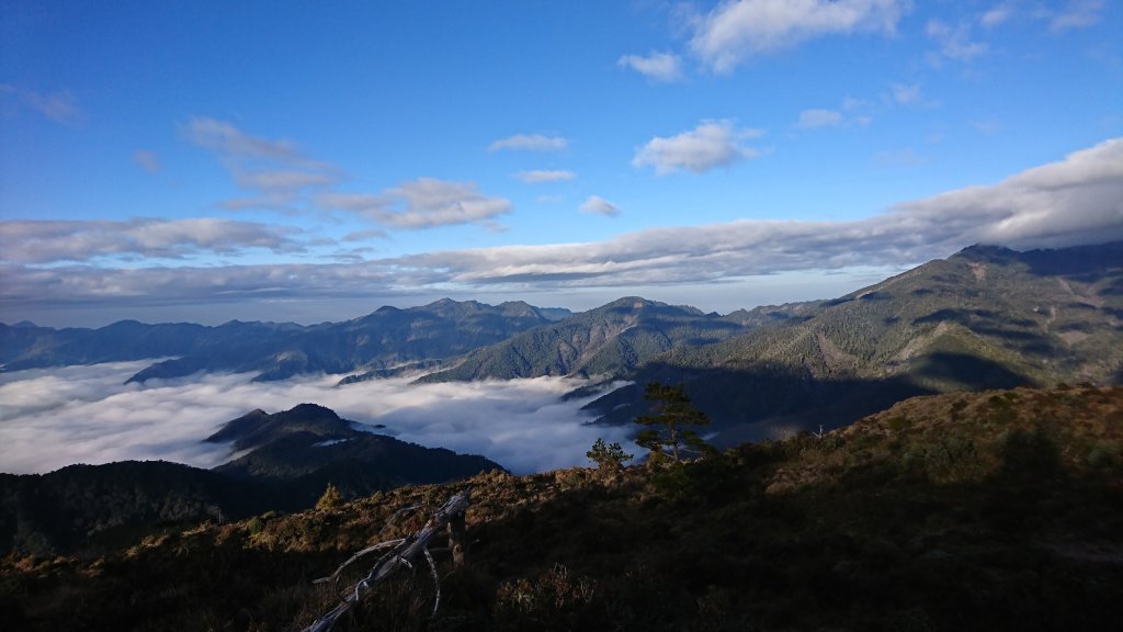 20250125 伊加之蕃-卑南東稜_2715226