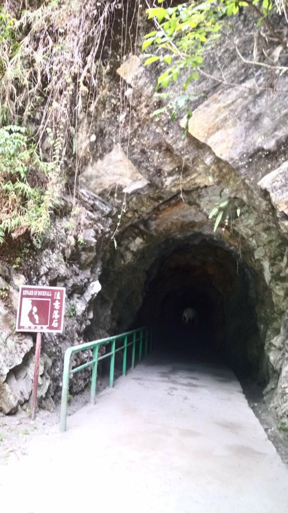 砂卡噹+白楊步道一日健走_335378