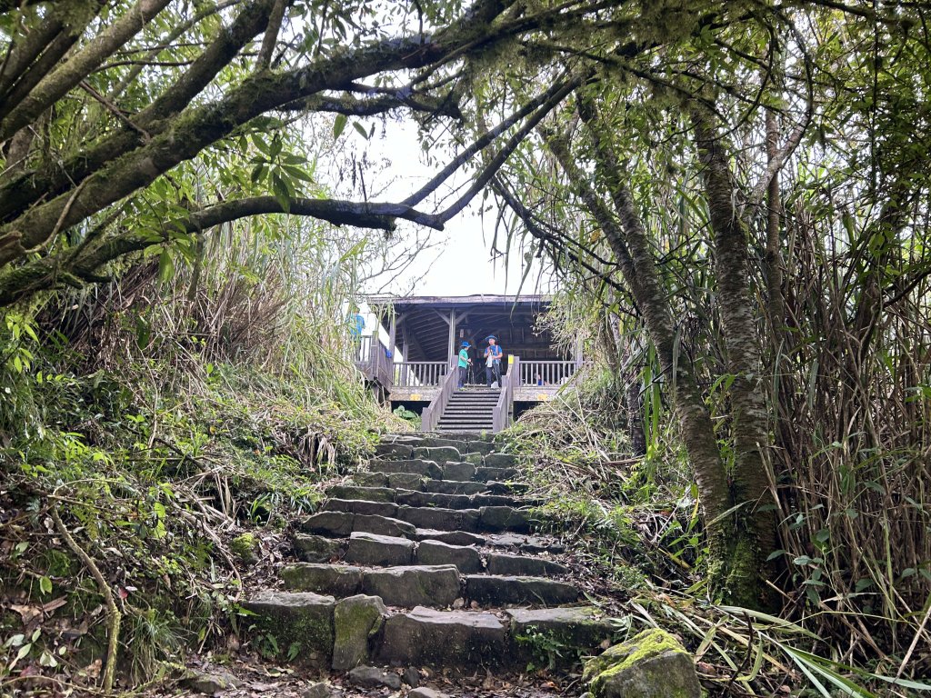 奮起湖大凍山_2598178