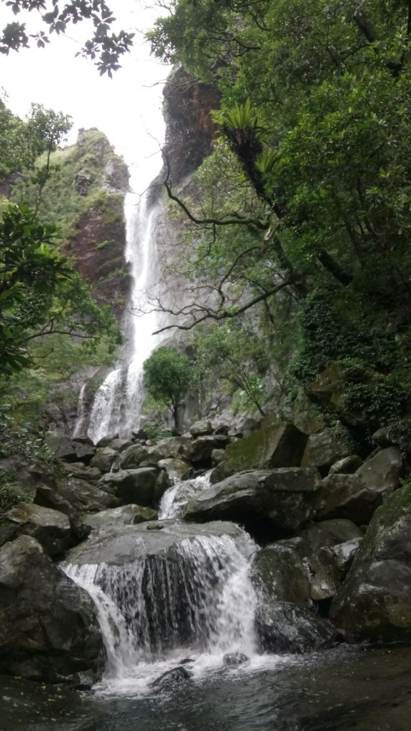 陽明山國家公園最大的瀑布「阿里磅瀑布」_406714