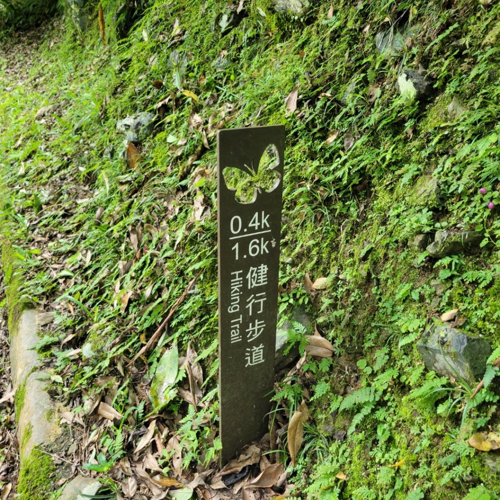 滿月圓國家森林遊樂區_2190947