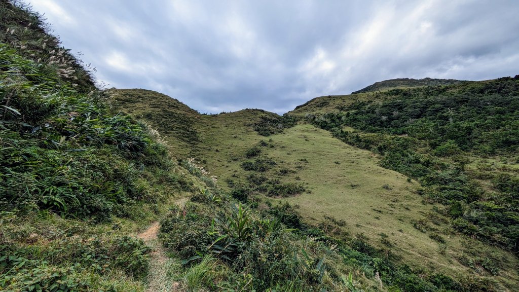 龜媽坑古道,雪山尾稜南段,草嶺古道_2354707