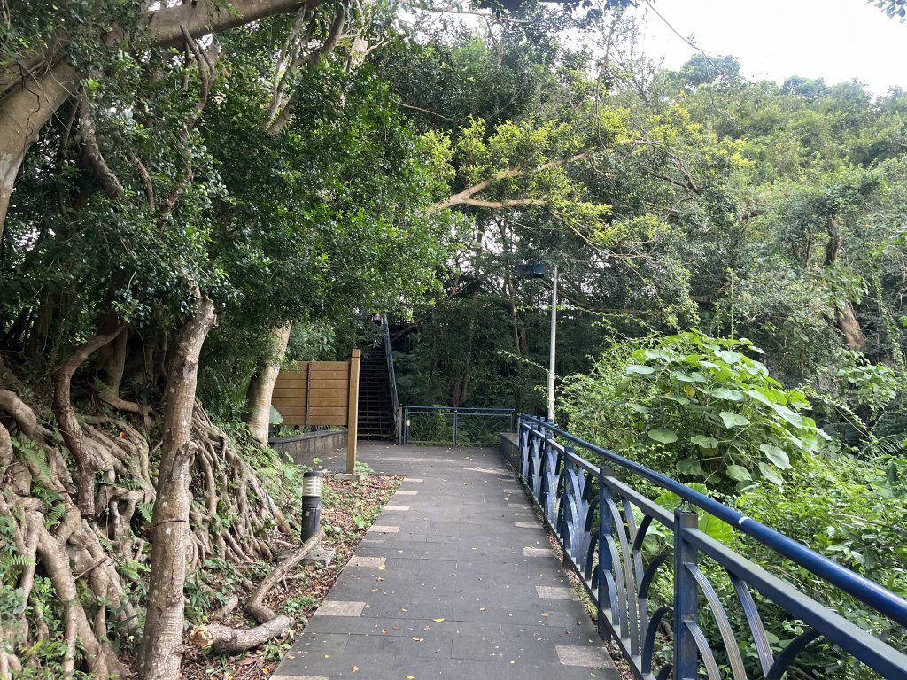[百山百鳥尋旅-01/15] 2025_0807 和美山步道_2854542