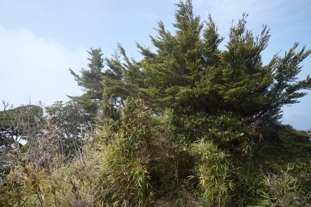 清明時節北大武_2470384