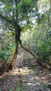 大暖尖山 天上山O型圈封面圖