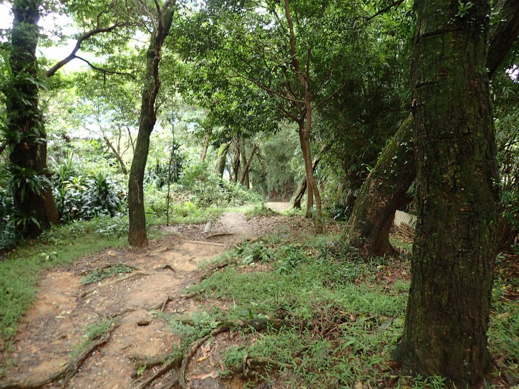 訪仙跡岩, 尋找神仙落腳的痕跡!_1740839