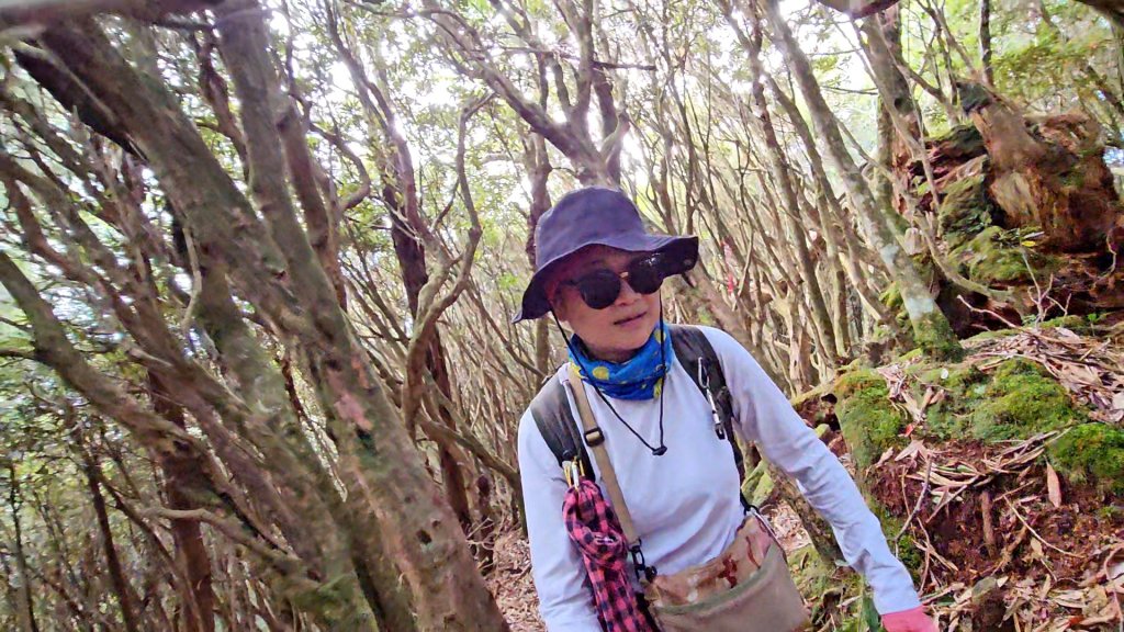 翩翩起舞的塔曼山_2363555