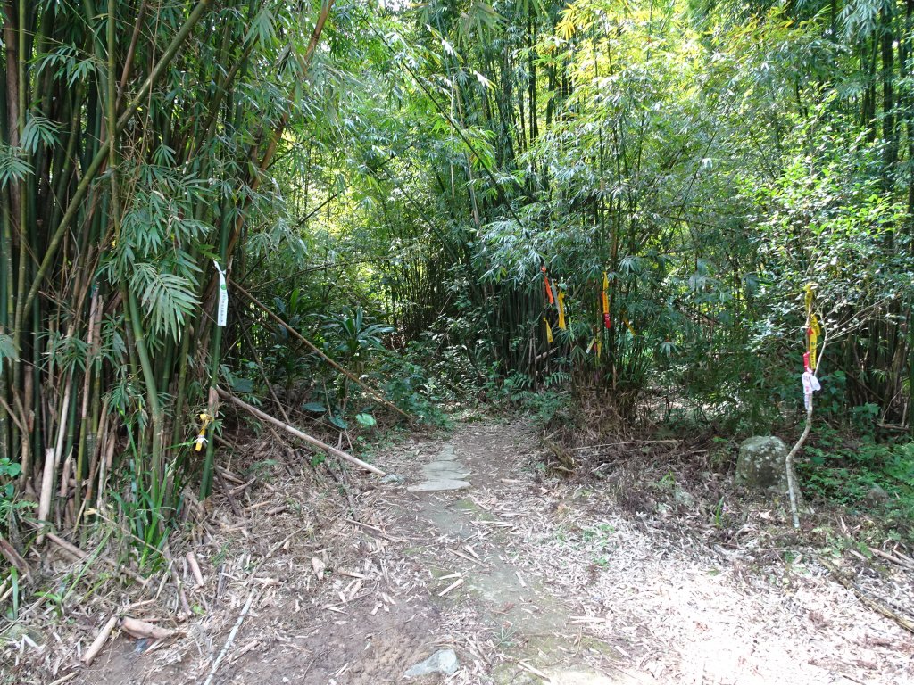 宜蘭小百岳4座~東門及羅東夜市美食之旅_1317641