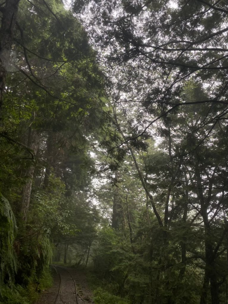 宜蘭｜大同 見晴懷古步道_1487947