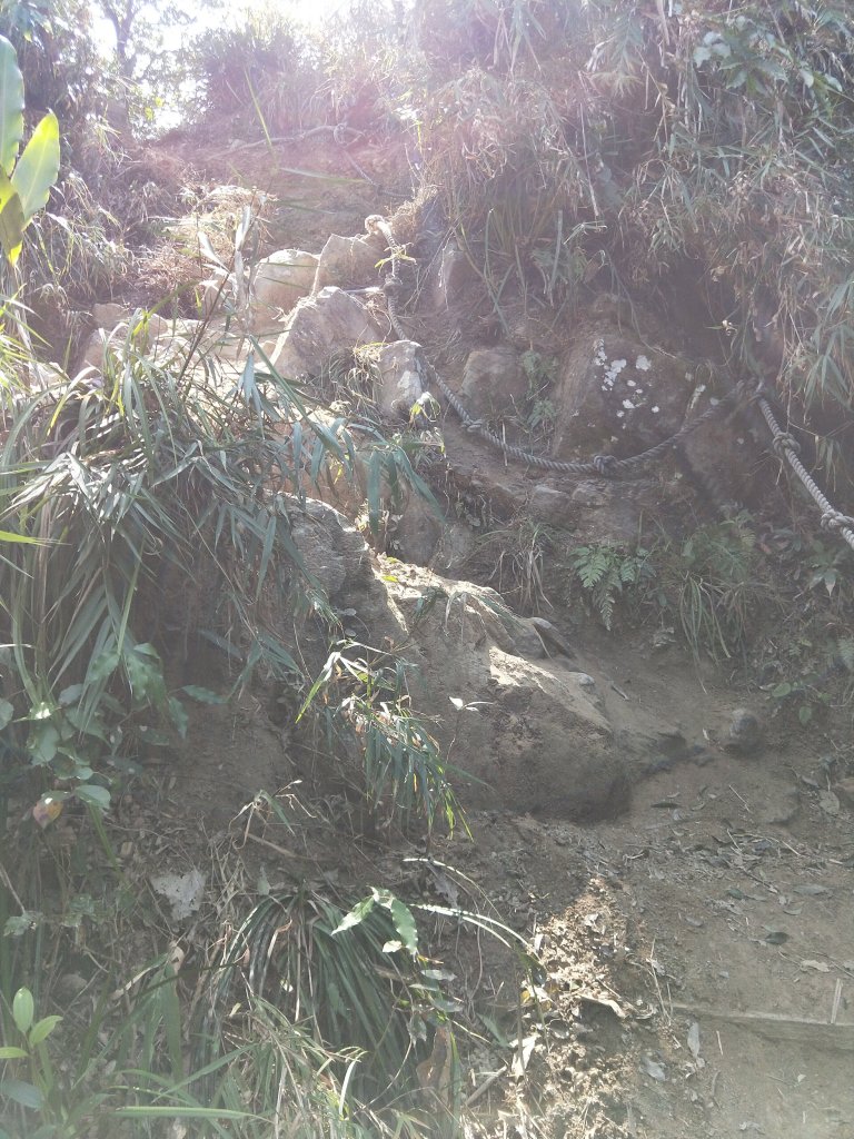 步道巡訪員│白毛山步道3月巡訪日誌_872143