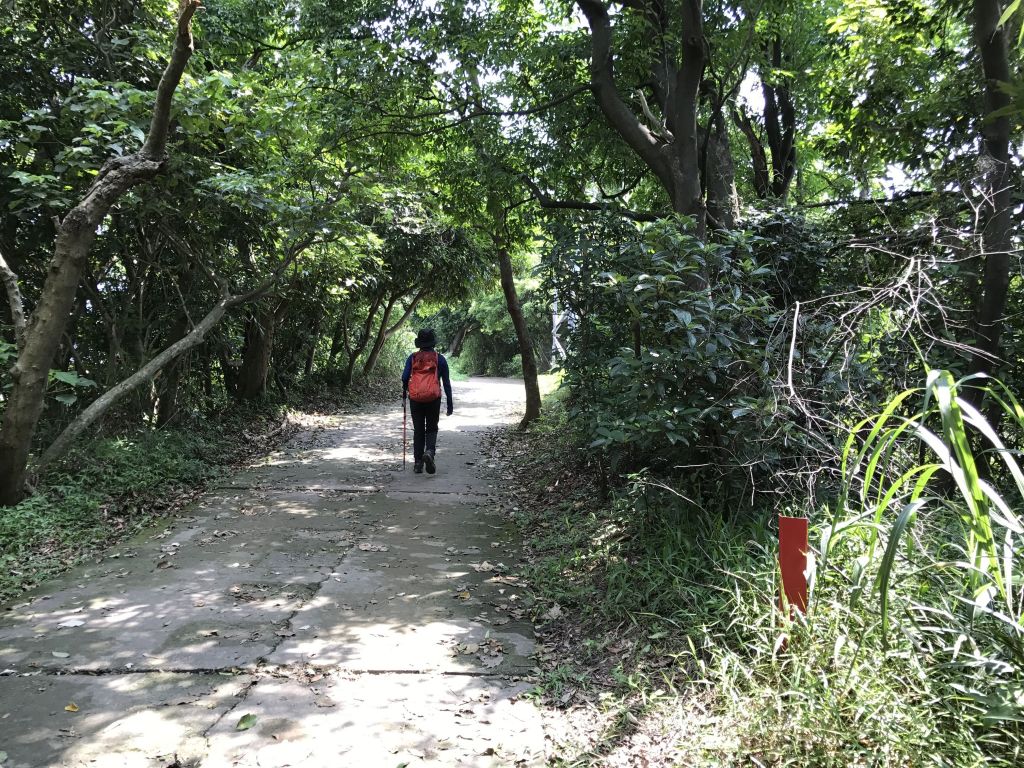 圓山水神社上劍潭山出故宮_139154