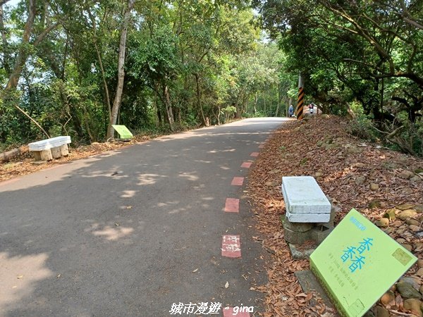 【彰化員林】員林百果山上最具人氣的休閒步道。 台灣百大必訪步道。 藤山步道_1689507