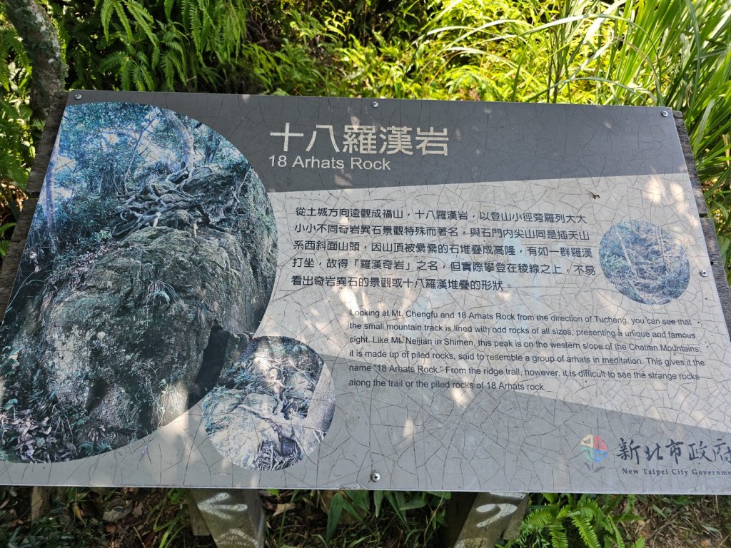 (天上山系)望月亭桐花-2025微笑山線大縱走尋寶集章任務_2870342