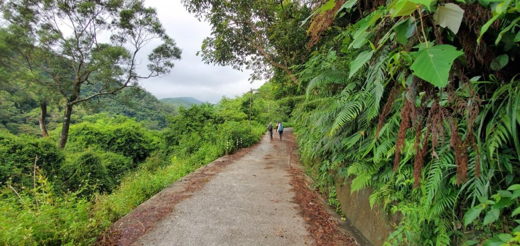 2021-09/19-宜蘭礁溪- 抹茶山三角崙山_1466363