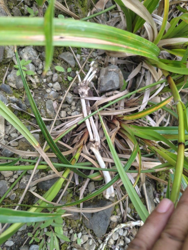 廢棄的步道_2531824