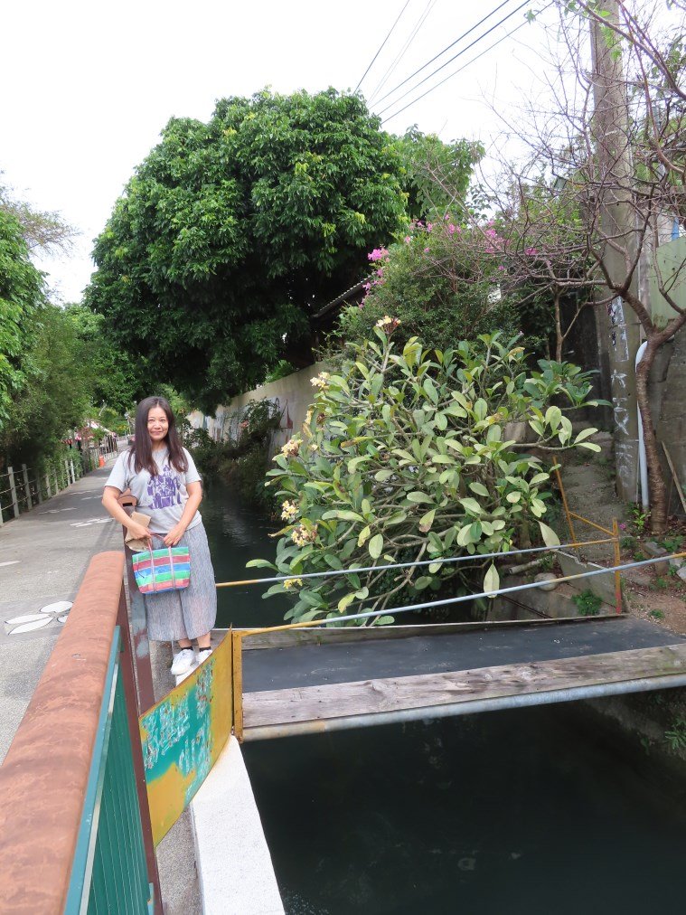 水流東桐花步道_1900256
