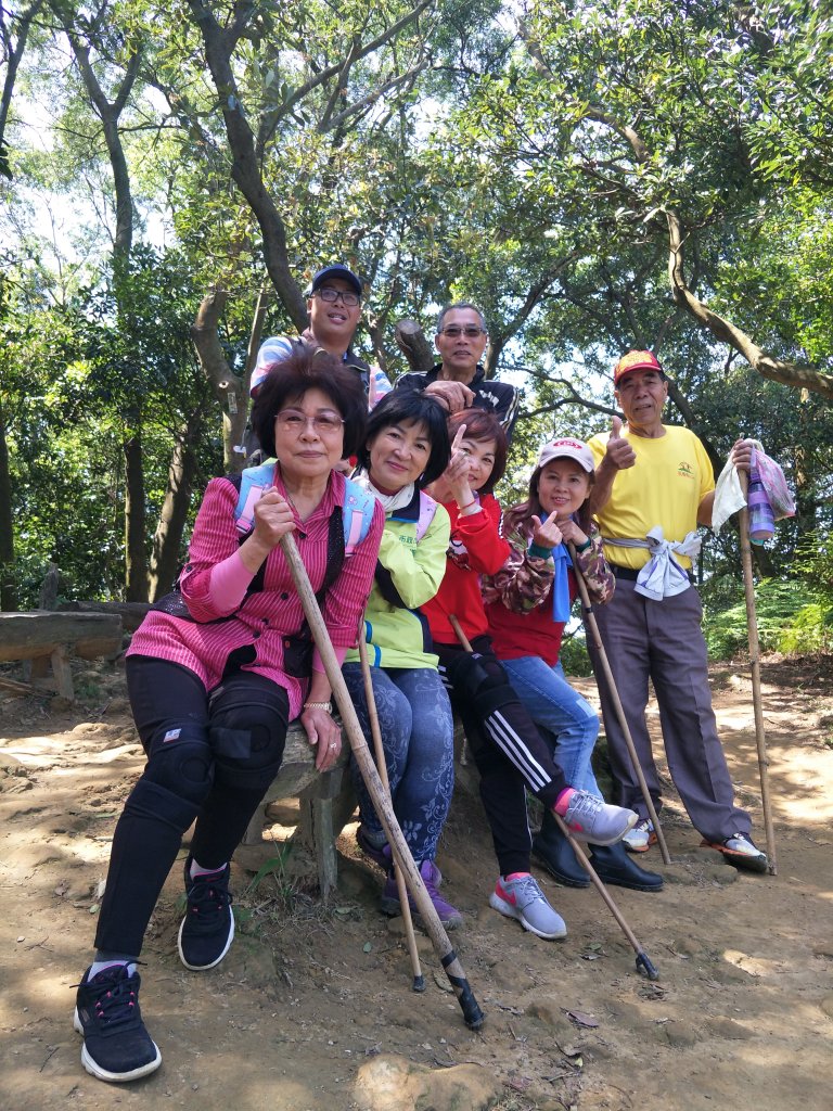 2020 03 16 樹林大棟山_881563