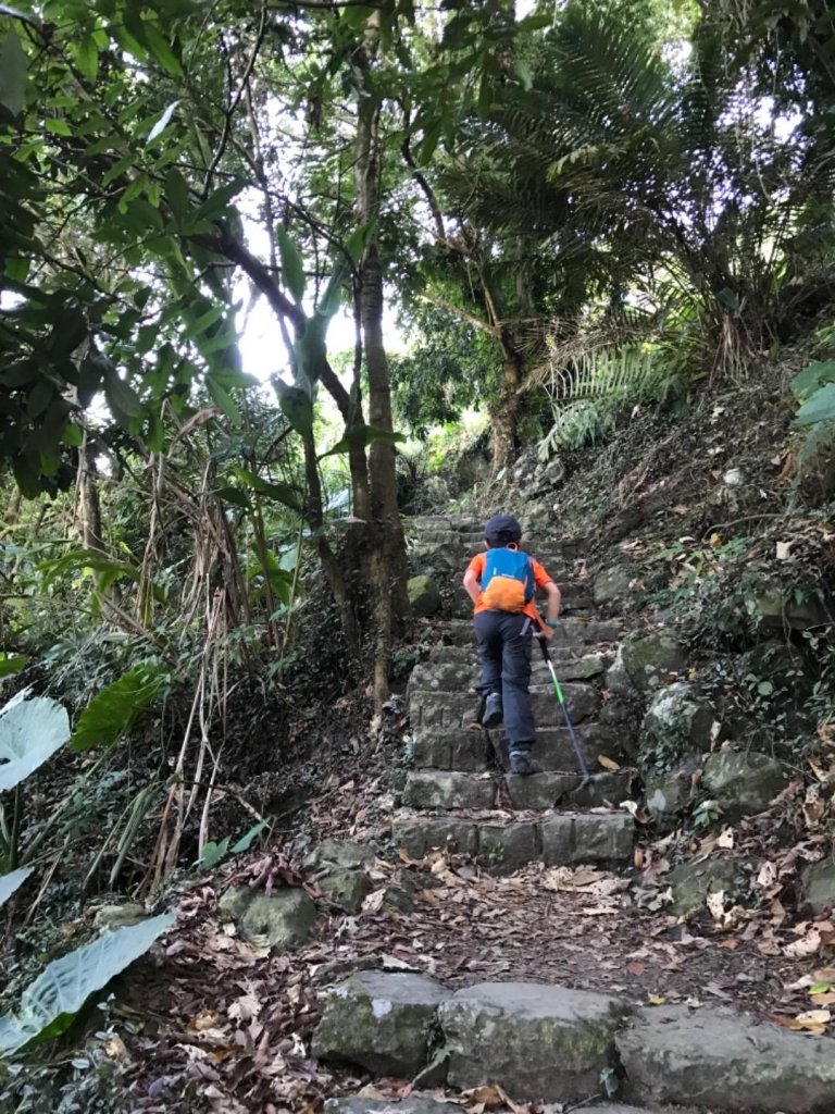 樟腦寮車站上獨立山奉天岩泡茶煮泡麵大巃頂看群峰美景_469761