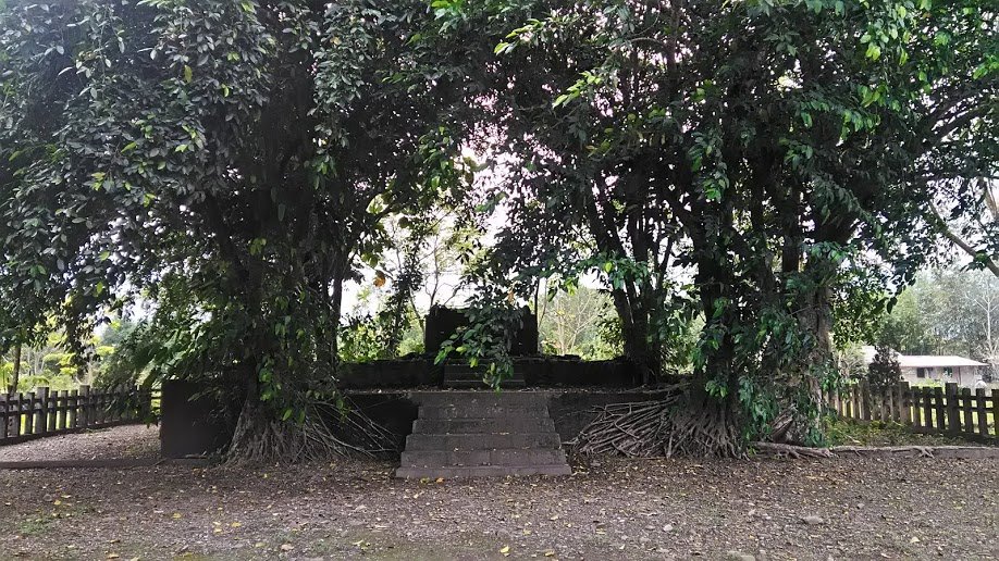 2019 3/17 林田神社_872826