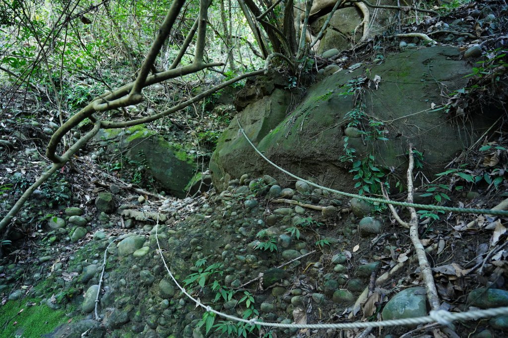 臺中 霧峰 奧山、砲台山_2715358