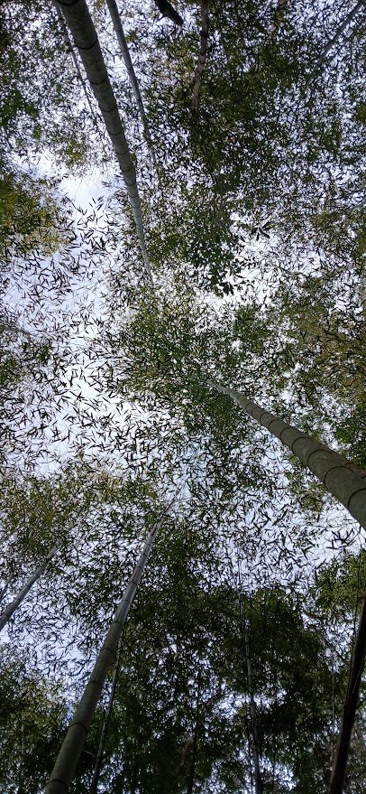 2025 1/27 石壁山_2700021