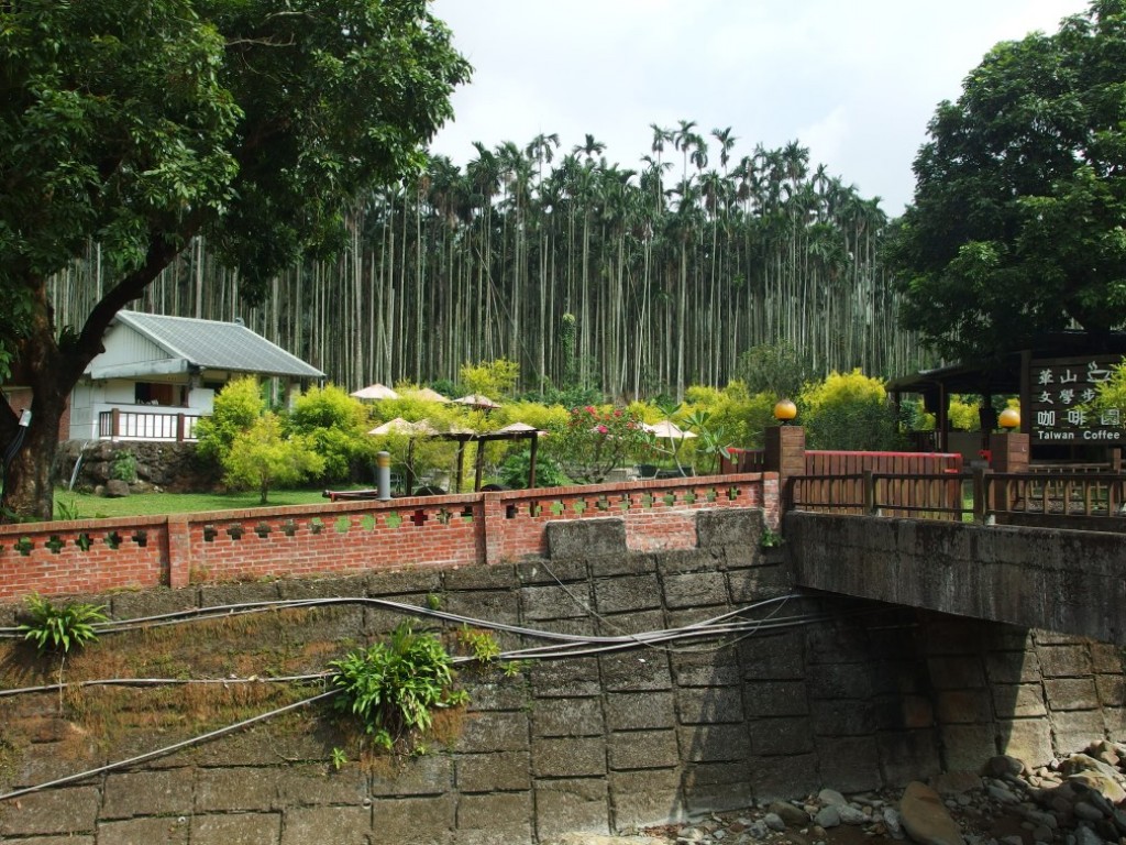 華山咖啡園區_254677