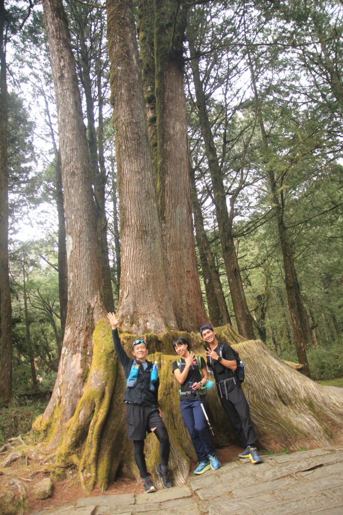 阿里山的櫻花前戲_1635102