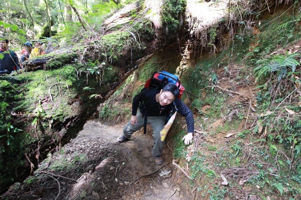 水樣森林 第一次在山裡過夜_658867