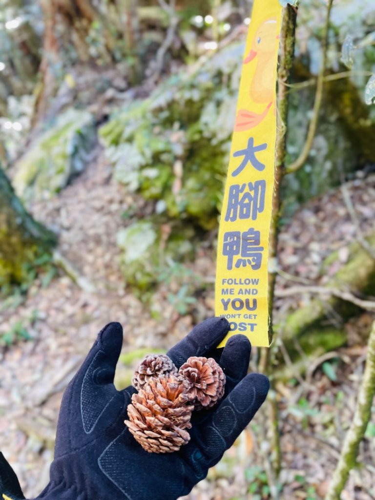 鳶嘴西稜上鳶嘴山-醜崠三崠山連走_2656810