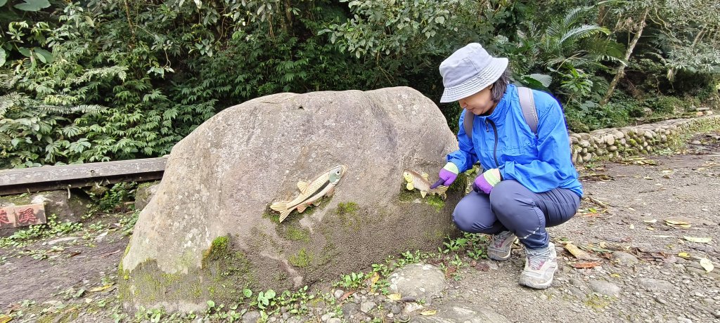 2025/03/16_蓬萊溪護魚步道+萊園坪山_2737568