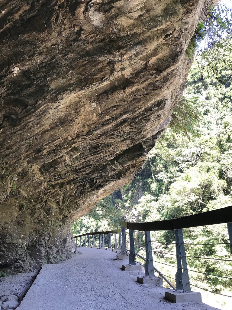 ~  太魯閣砂卡礑步道  ~_1805467